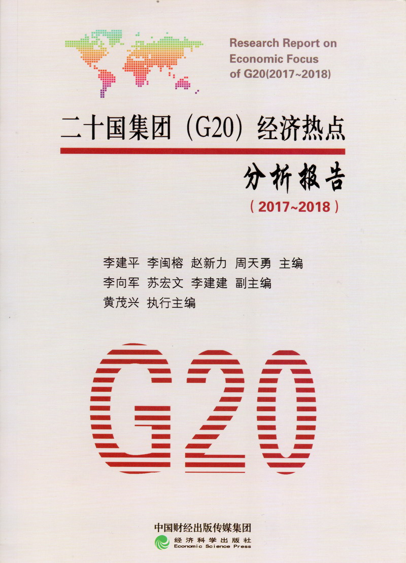 抽插jb艹穴文章二十国集团（G20）经济热点分析报告（2017-2018）