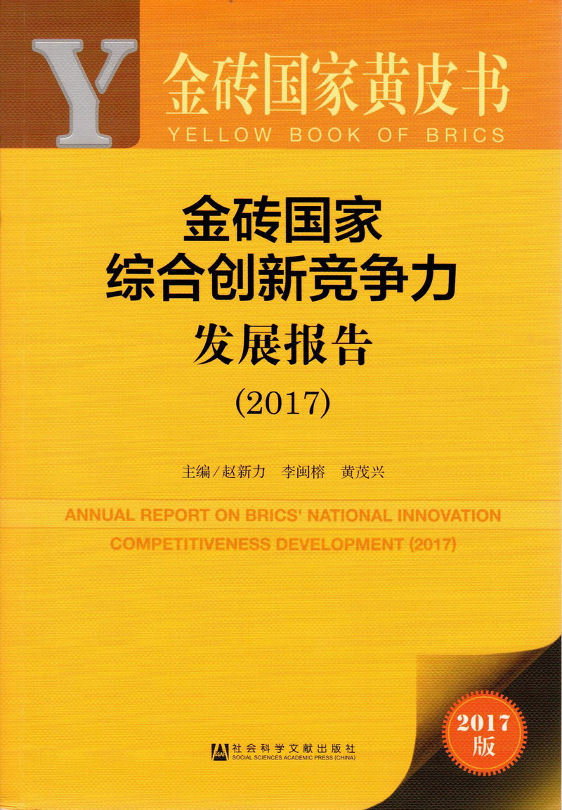 欧美老女人胖女人大美女交交视频金砖国家综合创新竞争力发展报告（2017）